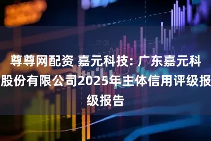 尊尊网配资 嘉元科技: 广东嘉元科技股份有限公司2025年主体信用评级报告
